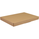 SendProof® Verzenddoos, A4, corrugated cardboard, 310x220x28mm, with flap, single corrugation, brown 